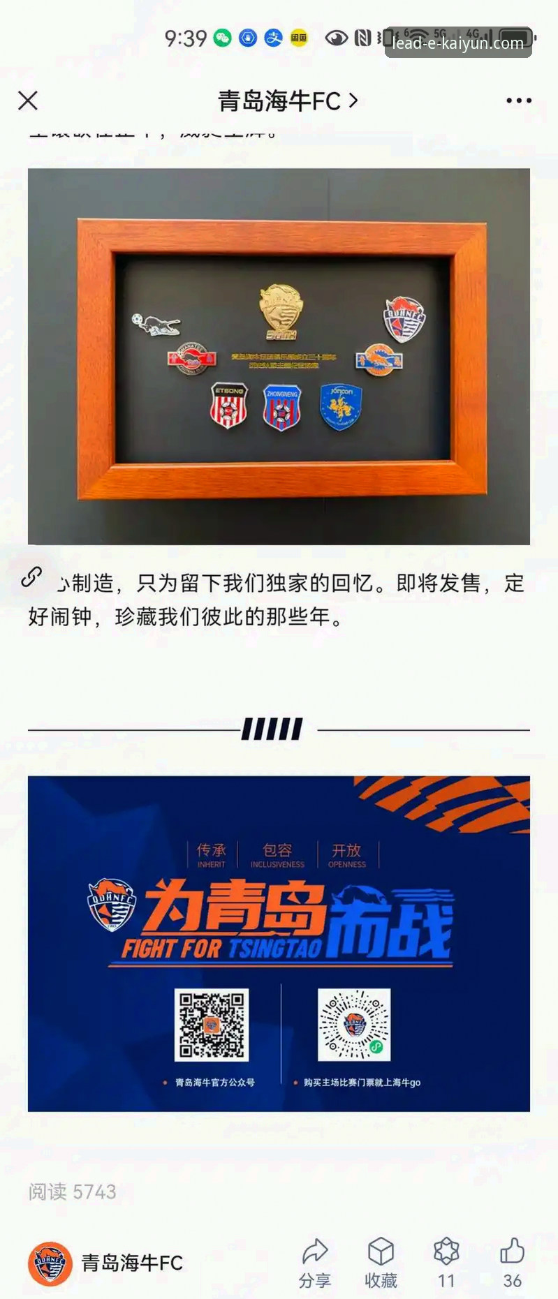 看懂青岛海牛逆袭的实用指南：从战术分析到开云体育观赛体验
